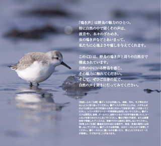 2019_BirdSongs_J_2.jpg