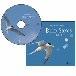 500241webCD_BirdSongs海辺_合成.jpg