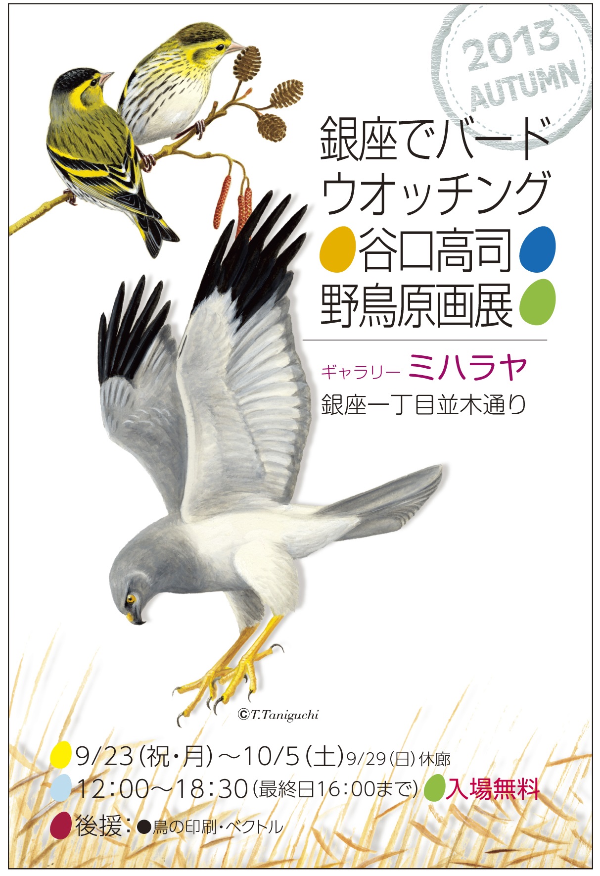 野鳥画家 谷口高司さん 個展のおしらせ Wild Bird スタッフブログ