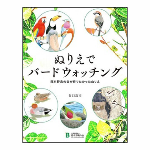 おうちで楽しめる野鳥グッズ Wild Bird スタッフブログ