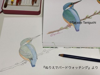 写真 2020-05-02 18 13 56.jpg