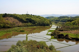 市貝町北部風景:谷津田 (2).jpg