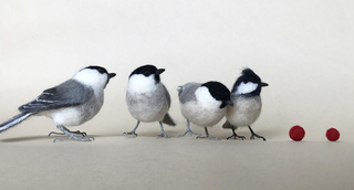 鳥の市鳥のみIMG_8951.jpg
