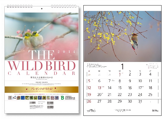 2015年カレンダー写真募集はじめました Wild Bird スタッフブログ