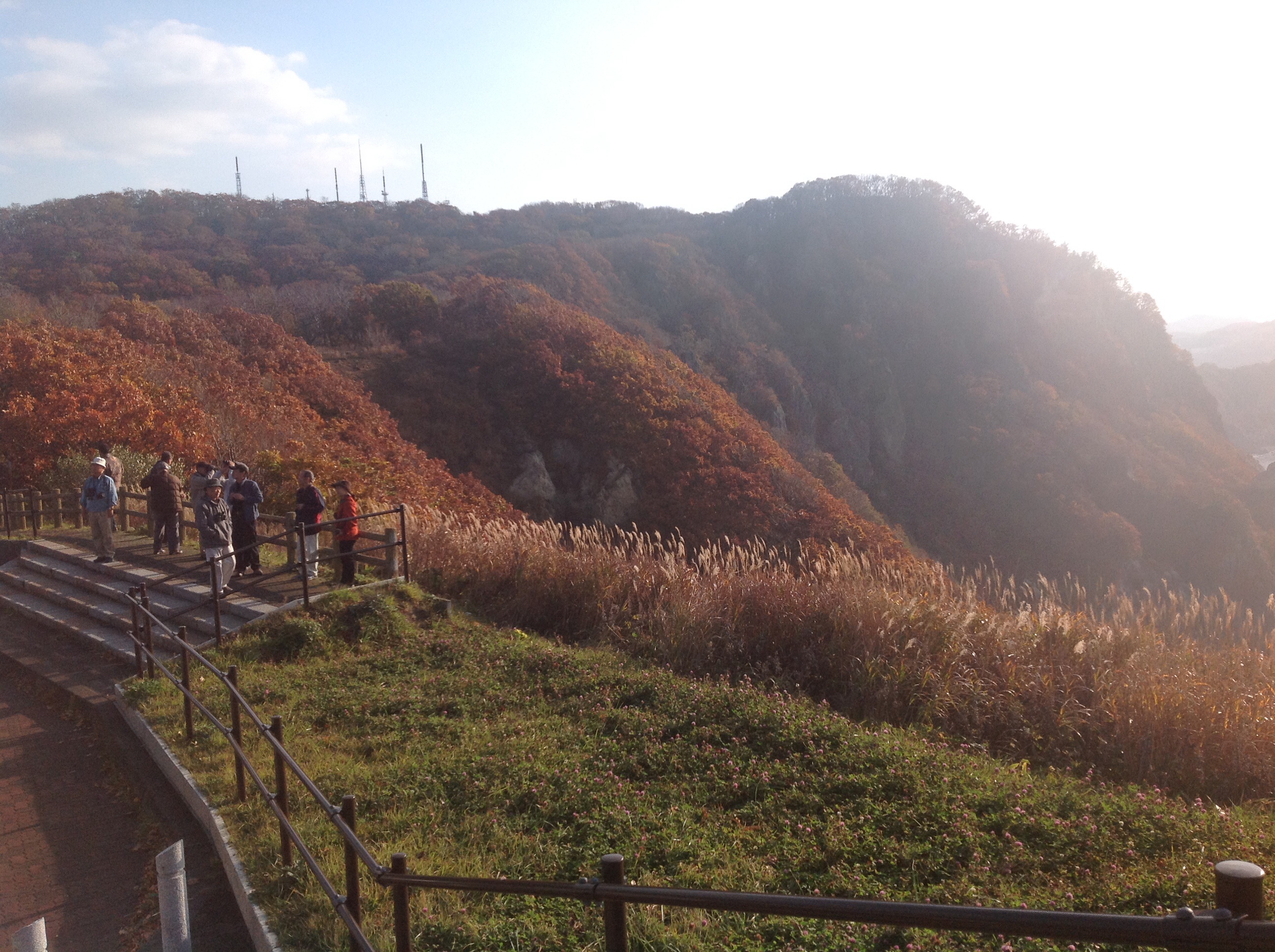 室蘭の測量山でタカたちを見送る Wild Bird スタッフブログ